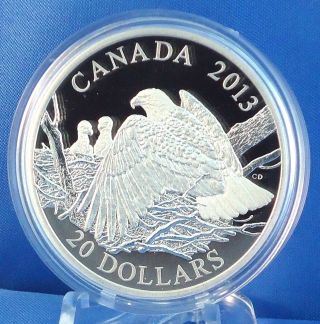Canada 2013 Bald Eagle Mother Protecting Her Eaglets Nest $20 Proof Silver photo