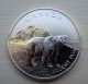 Silver Coin 1 Troy Oz 2011 Canada Canadian Wildlife Series Grizzly Bear.  9999 Bu Coins: Canada photo 6
