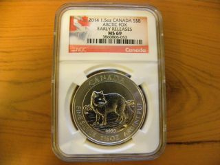 2014 Canada $8 Arctic Fox Ngc Ms 69,  Early Releases,  1.  5 Oz.  0.  9999 Ag photo