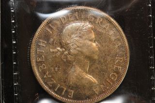 1959 Canada.  1$ Dollar.  Voyageur.  Dark Toned.  Iccs Graded Pl - 65.  (xrp159) photo