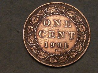 1901 Canadian Large Cent (near Au) 6599a photo