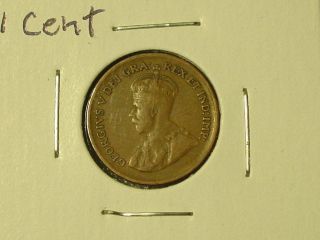 1933 Penny From Canada (ef) 312 - B photo