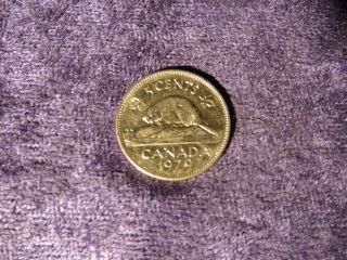 Canada 1979 Elizabeth Beaver 5 Cents Canadian Nickel Coin - Flip photo