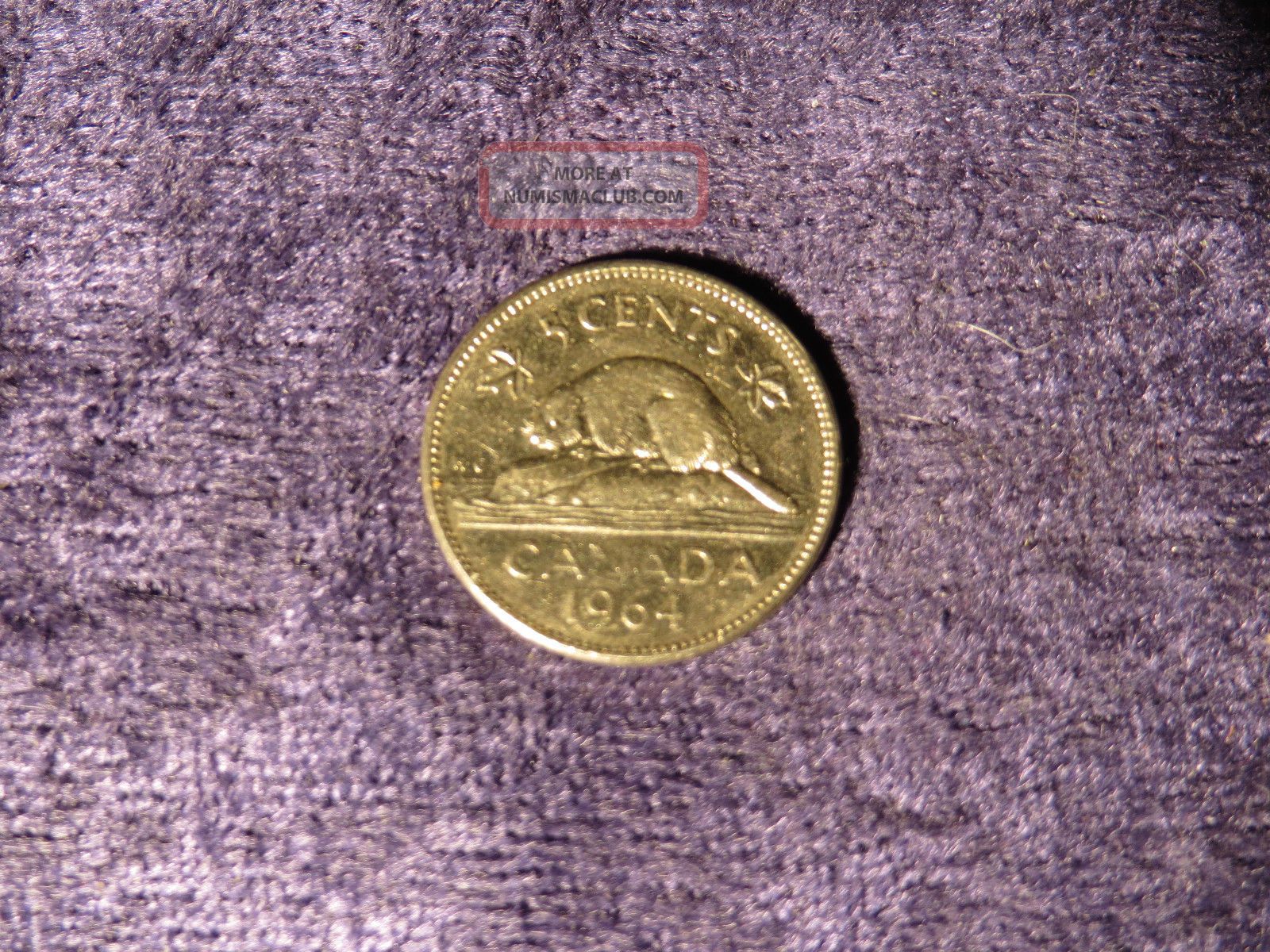 Canada 1964 Elizabeth Beaver 5 Cents Canadian Nickel Coin - Flip Coins: Canada photo