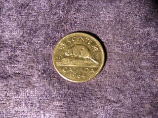Canada 1964 Elizabeth Beaver 5 Cents Canadian Nickel Coin - Flip photo