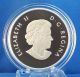 2013 Niagara Falls1/2 Oz.  Fine Silver Matte Proof Coin - 7th In O Canada Series Coins: Canada photo 3