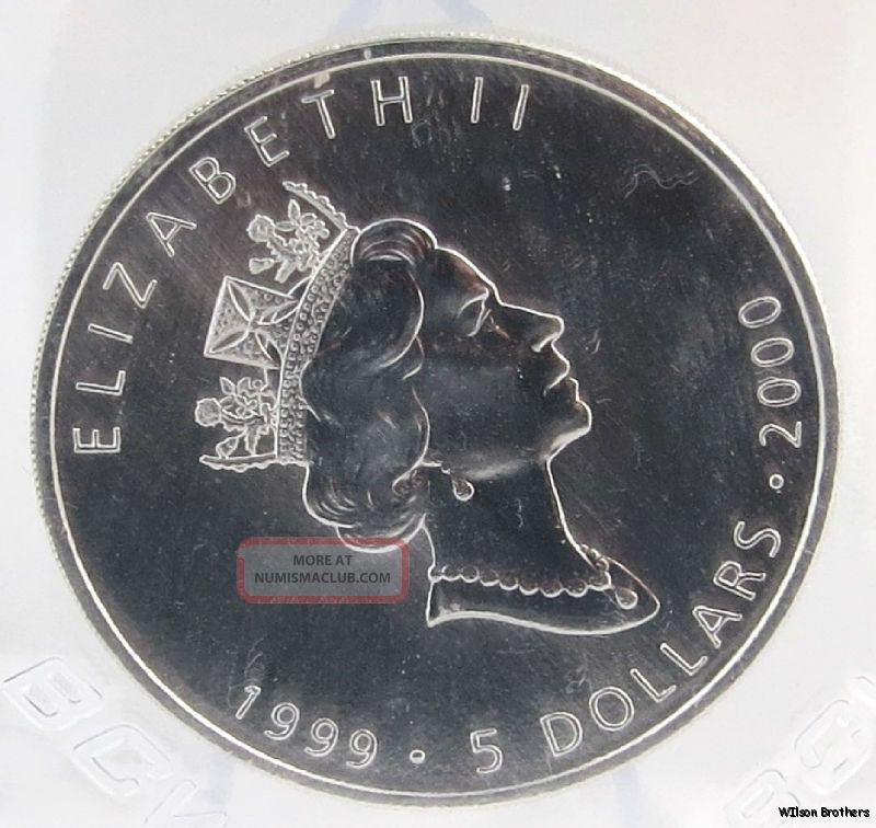 1999 - 2000 $5 Canada Silver Maple Leaf 8 Coin Group 1 Oz.  9999 Fine Uncirculated Coins: Canada photo