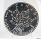 1999 - 2000 $5 Canada Silver Maple Leaf 8 Coin Group 1 Oz.  9999 Fine Uncirculated Coins: Canada photo 1