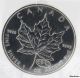 1999 - 2000 $5 Canada Silver Maple Leaf 10 Coin Group - 1 Oz.  9999 Fine Silver Unc Coins: Canada photo 5