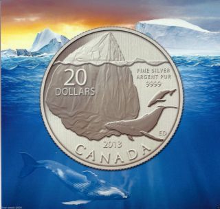 2013 Canada $20 Whale & Iceberg 99.  99% Pure Silver Coin photo