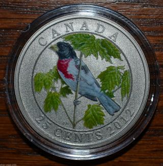 2012 Rose Breasted Grosbeak 25 Cents Colorized Canadaian Coin Box & photo