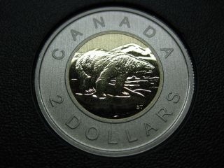 2012 Canadian Specimen Toonie ($2.  00) photo