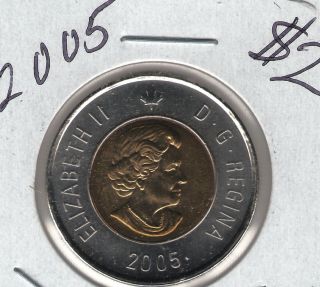 2005 Canada Elizabeth Ii With Polar Bear Brilliant Uncirculated $2 Twoonie Coin photo