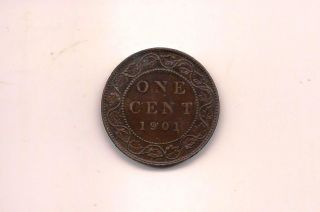 Canada 1901 Large One Cent Xf - Au Coin photo