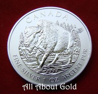 Silver Coin 1 Oz 2013 Canada Canadian Wood Bison Wildlife Series.  999 Pure Bu photo