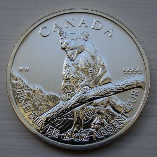 Canada Silver Coin 1 Oz 2012 Canadian Cougar Cat Royal Wildlife Series Bu photo