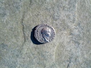 Ngc Roman Silver Denarius,  Domitian As Caesar,  Graded Ch Xf With Salus photo