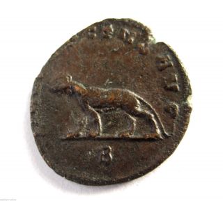 253 A.  D Gallic Empire Emperor Gallienus Roman Period Ae Bronze Antoninus Coin photo