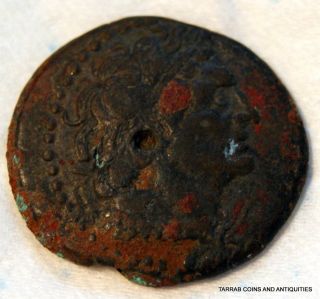 Ptolemy Iii Euergetes 246 - 222 B.  C.  Kyrene Mint; And Scarce Coin photo