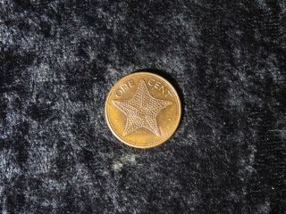 Foreign Bahamas 1992 Starfish Cent Penny Coin - Flip photo