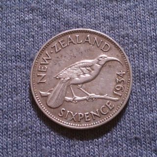 1935 Zealand Silver 6 Pence Xf Sixpence King George V,  Huia Bird,  Uk Km 2 photo