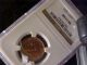 Lundy 1/2 Puffin 1929 Ngc Ms 65 Red Brown Looks Like Full Red To Me Europe photo 3