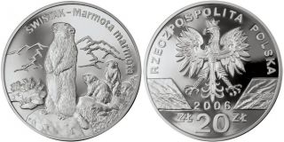 Polish 2006 Big Silver Coin Marmot (swistak) - Series: Animals Of The World photo