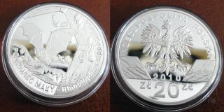 Silver Polish 2010 Coin Bat (nietoperz - Podkowiec) - Series: Animals Of The World photo