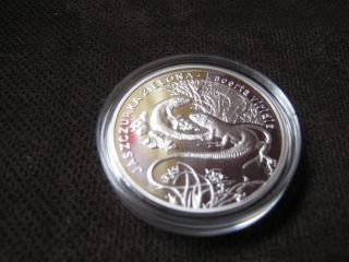 Silver Polish 2009 Coin Lizard (jaszczurka) - Series: Animals Of The World photo