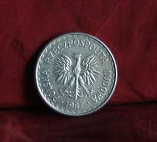 Poland 1 Zloty 1987 World Coin Y49.  2 Polska Eagle With Wings Polish Europe photo