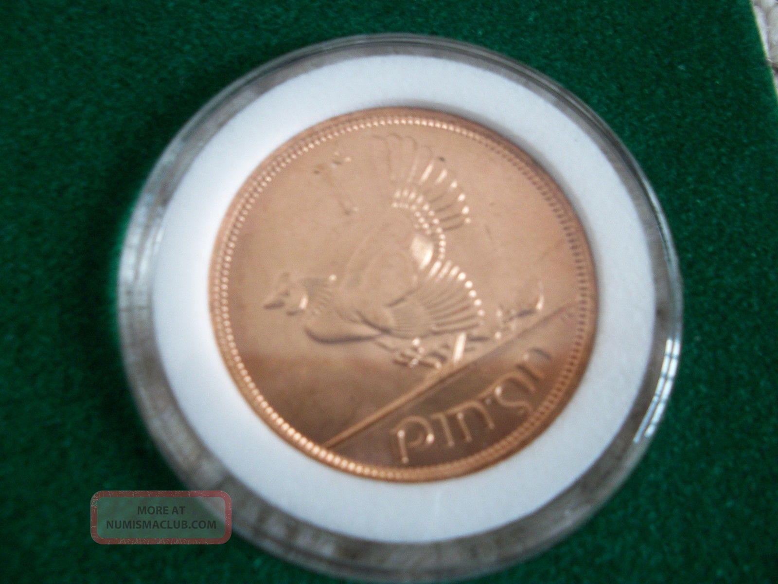 Irish Uncirculated " Lucky " Penny With Signed Cert. Of Authenticity (0036)
