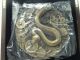 2012 Chinese Large Bronze Medal Snake China photo 5
