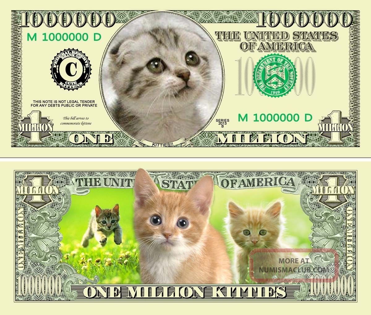 kitty_cat_one_million_dollar_bills__fake