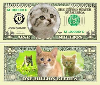 Kitty Cat One Million Dollar Bills,  Fake Kitten Novelty Money,  Kitties Too Cute photo