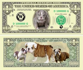 Bulldog Puppy Dog Lover One Million Dollar Bills,  Funny Pet Animal Novelty Money photo