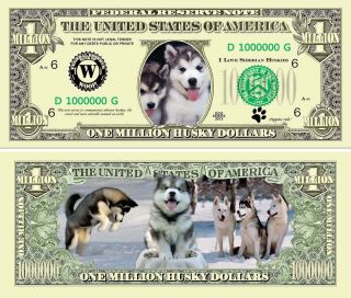 Siberian Husky Puppy Dog Novelty 1 Million Dollar Bills,  Pet/animal Lover Money photo