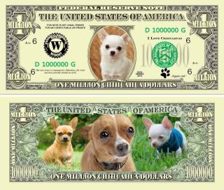 Chihuahua Puppies Dog Novelty Million Dollar Bills,  Pet/animal Lover Funny Money photo