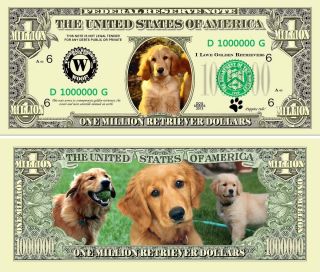 Golden Retriever Puppy Dog Novelty Million Dollar Bills,  Pet/animal Lover Money photo
