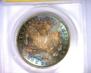 Ms62 Anacs Beautifully Toned 1884 Morgan Silver Dollar U.  S.  Coin 1884 photo