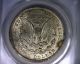 Ms62 Anacs 1921 Top 100 Vam 41b Morgan Silver Dollar United States Coin 1921 Dollars photo 1