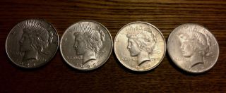 1922,  1923,  1924,  1925 Peace Silver Dollars photo