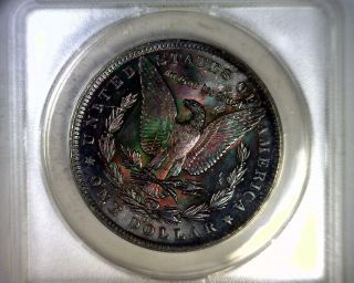 Ms62 Anacs Beautifully Toned 1884o Morgan Silver Dollar U.  S.  Coin 1884 - O photo