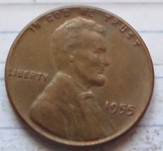 1955 P Circulated Lincoln Wheat Cent. photo