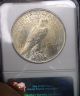 1922 - Peace Silver Dollar Certified Ms63 By Ngc Light Gold With Hint Of Color Dollars photo 3