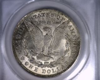 Ms63 Anacs 1921 Hot 50 Vam 3e Morgan Silver Dollar United States Coin 1921 photo