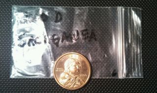 2000 - D Sac$1 Sacagawea Dollar photo