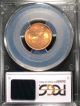 1951 - S Lincoln Wheat One Cent Pcgs Ms67rd Cac  29207554 Small Cents photo 1