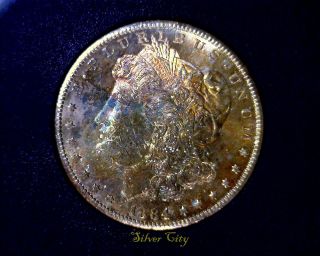1884cc Gsa Anacs Ms62 Beautifully Toned Vam 2 Morgan Silver Dollar 1884 Cc Ms 62 photo