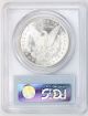 1891 Morgan Silver Dollar Ms 64 Pcgs (7245) Dollars photo 1