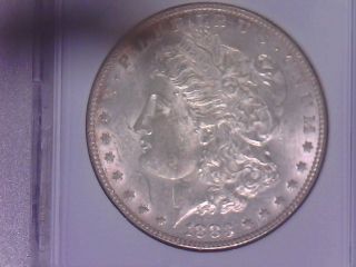 1883 Ms +++++ Gem Bu Morgan Silver Dollar - Very Attractive photo